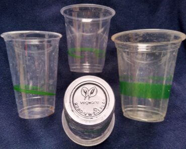 19 Examples of Biodegradable Plastics