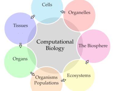 20 Examples of Computational Biology