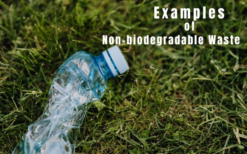 Examples of Non-biodegradable Waste