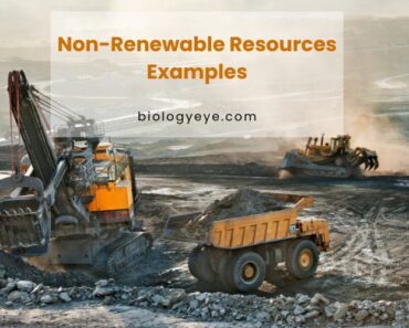 17 Examples of Non-Renewable Resources in Everyday Life