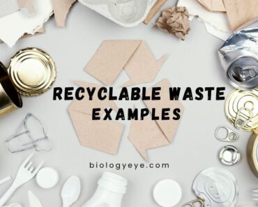 23 Examples of Recyclable Waste