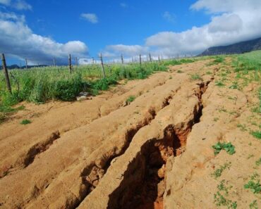 20 Examples of Soil Erosion Prevention in Everyday Life