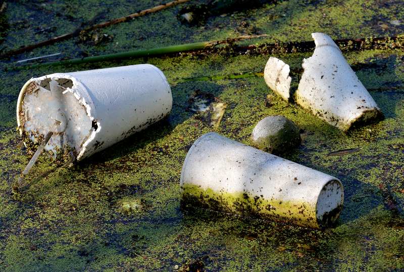 Styrofoam Containers